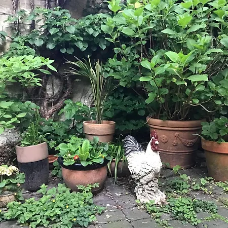 Stilvolles In Zentraler Lage Apartman *