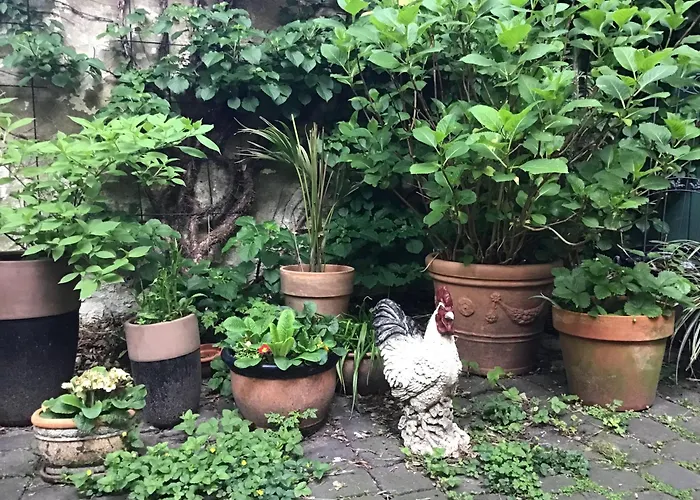 Stilvolles In Zentraler Lage 公寓 *